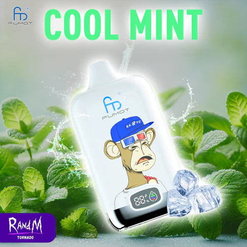 RandM Vape Digital Box 12000 Taff Cool Mint