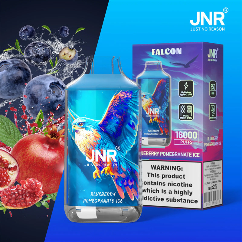 JNR Falcon 16k Puffs Jetable Cigarette électronique – Blueberry Pomegranate Ice
