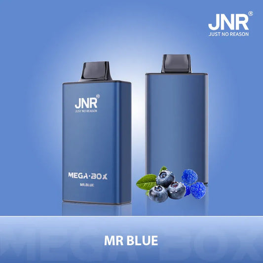 JNR Mega Box 25K Mr. Blue Vape