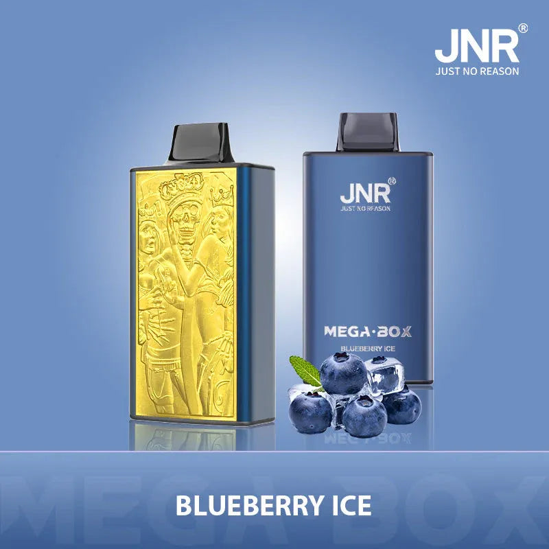 Puff JNR 25K Blueberry Ice