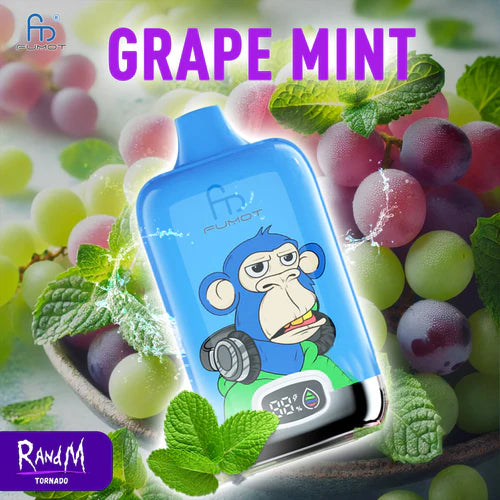 RandM Digital Box 12K Vape - Grape Mint